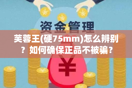 芙蓉王(硬75mm)怎么辨别？如何确保正品不被骗？